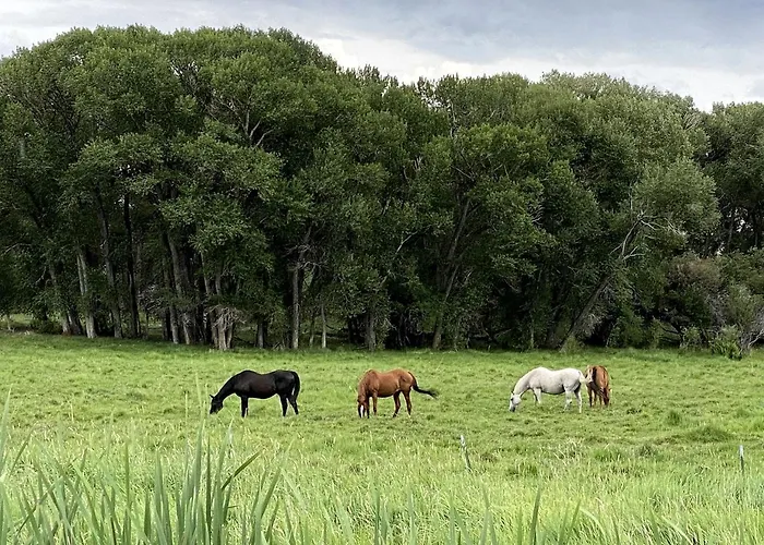 Delightful Secluded In Riverside, Wyoming
